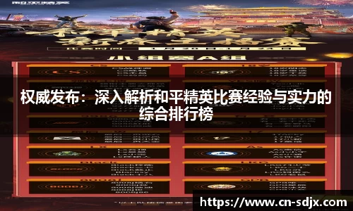 权威发布：深入解析和平精英比赛经验与实力的综合排行榜
