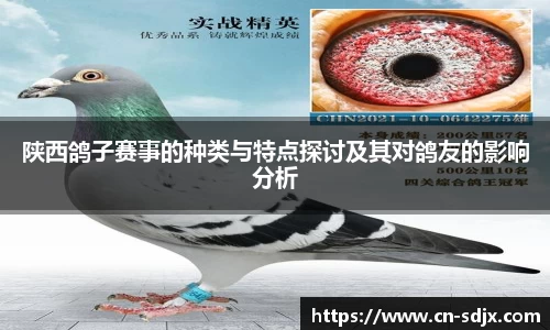 kk体育官网