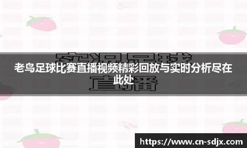 老鸟足球比赛直播视频精彩回放与实时分析尽在此处