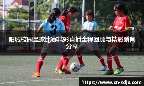 kk体育官网入口
