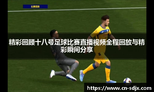 kk体育官网