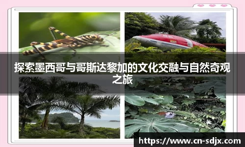 kk足球